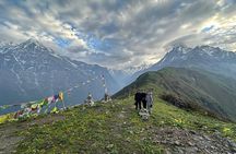 7 Day Mardi Himal Trek with Chitwan Jungle Safari Tour