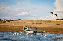 Fayoum Oasis Tour Explore Vally of The Whales and Waterfalls