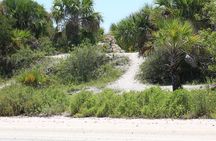 Dolphin and Wildlife Tour at Indian River Shores