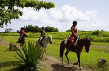 Horseback Riding Tour at Private Ranch