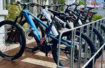 Tahiti excursion adventure circuit MTB MTB E-Bike private valley