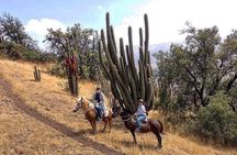  Private Andes Horse Riding with Cheese and Wine. Near Santiago