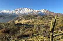 Private Andes Horse Riding with Cheese and Wine. Near Santiago