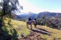  Private Andes Horse Riding with Cheese and Wine. Near Santiago
