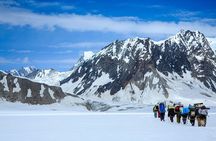K2 Base Camp Gandogoro La Trek