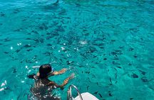 Private speed boat trip to Comino, Blue Lagoon and Caves