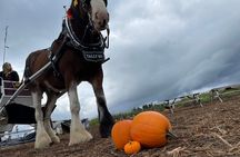 60-minute Haunted Halloween Tour