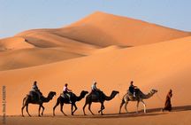 4 Days Private Tour to Moroccan Safari and Desert 