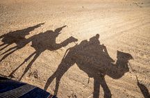 4 Days Private Tour to Moroccan Safari and Desert 