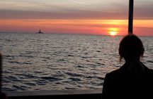 Private Sunset Dolphin Excursion with Dinner and Animation 