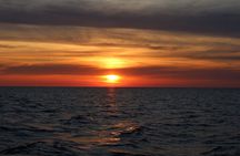 Private Sunset Dolphin Excursion with Dinner and Animation 