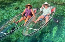 Clear Kayak Spring & Wildlife Tour Crystal River with Free Photos