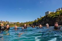 Guided Snorkeling Experience in Bondi