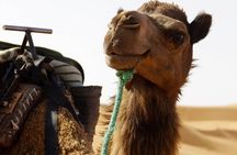 Morocco Desert Tour from Casablanca To Merzouga Dunes for 10 Days