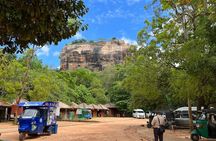 Sigiriya Fortress & Dambulla Day Tour From Colombo, Bentota Area