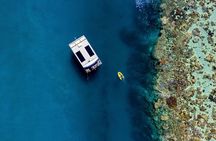 Airlie Beach Glass Bottom Boat Tour