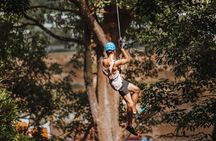 Extreme 35 Platforms Jungle Zipline Adventure Park