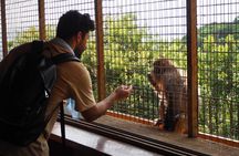 West Kyoto & Arashiyama: In-Depth 1-Day Cultural Tour