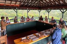 History Of Chocolate and Craft Chocolate Tasting