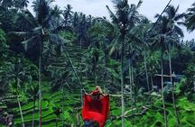 Best of Ubud Tours