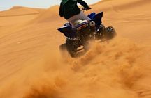 Desert Safari with Quad Bike, Camel Ride, Sand Surf, BBQ & Shows