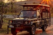 Hluhluwe-Imfolozi Park Half-day Big Five Safari Adventure