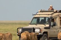 4 Days Private Arusha National Park, Serengeti, Ngorongoro Tour