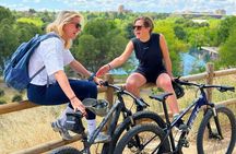 Ebike tour Madrid, green areas and panoramic views. 3 hours