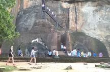 Dambulla, Sigiriya and National Park Safari Tour from Kandy