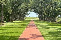  Louisiana's Historic Plantations Private Day Tour from Biloxi