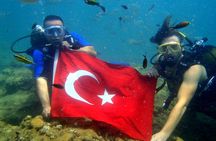 Explore Mediterranean Marine Life Boat and Shore Diving Options