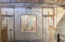 Pompeii Guided Tour from Naples with Skip-the-Line Entry 
