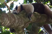 Manuel Antonio National Park Tour for 8 People