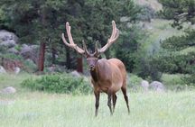 RMNP: Bear Lake Corridor Tour