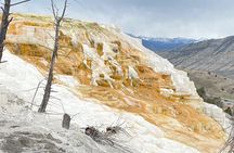 FULLY Private Yellowstone Winter Wildlife | Bozeman & Gardiner