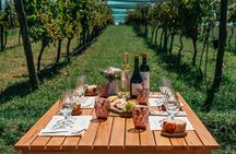 Buenos Aires: Wine tasting and lunch at Bodega Gamboa