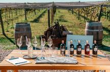 Buenos Aires: Wine tasting and lunch at Bodega Gamboa