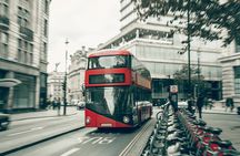 Guided Walking Tour in London