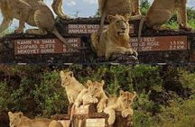 Tour Safari; Nairobi National Park