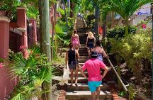 6 Hour St. Thomas Private Sightseeing Tour
