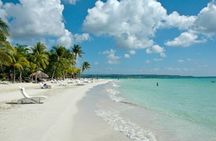 Private Negril Highlights Tour