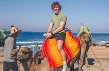 Private Guided Half Day Tour in Tangier 