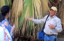 Joshua Tree National Park Scenic Tour