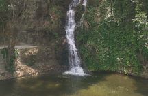 Napier Discovery Tour