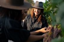 Estate to Plate Experience