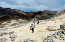 Half-Day Hiking Tour to Sulfur Fumaroles on Isabela Island