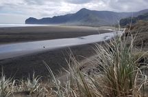 Piha Waterfalls and Wines