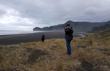 Piha Waterfalls and Wines
