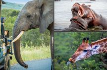 3 Day 2 Night Hluhluwe, St Lucia, Isimangaliso Tour 