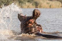 3 Day 2 Night Hluhluwe, St Lucia, Isimangaliso Tour 